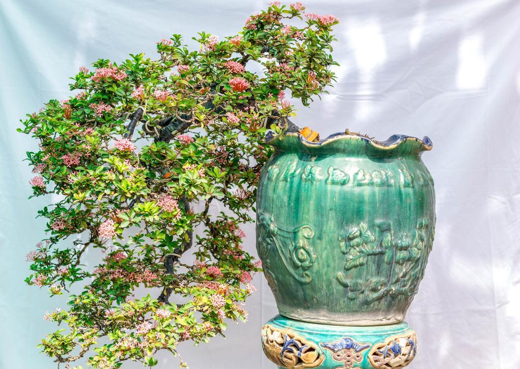 Bonsai Villa Hoi An Dış mekan fotoğraf
