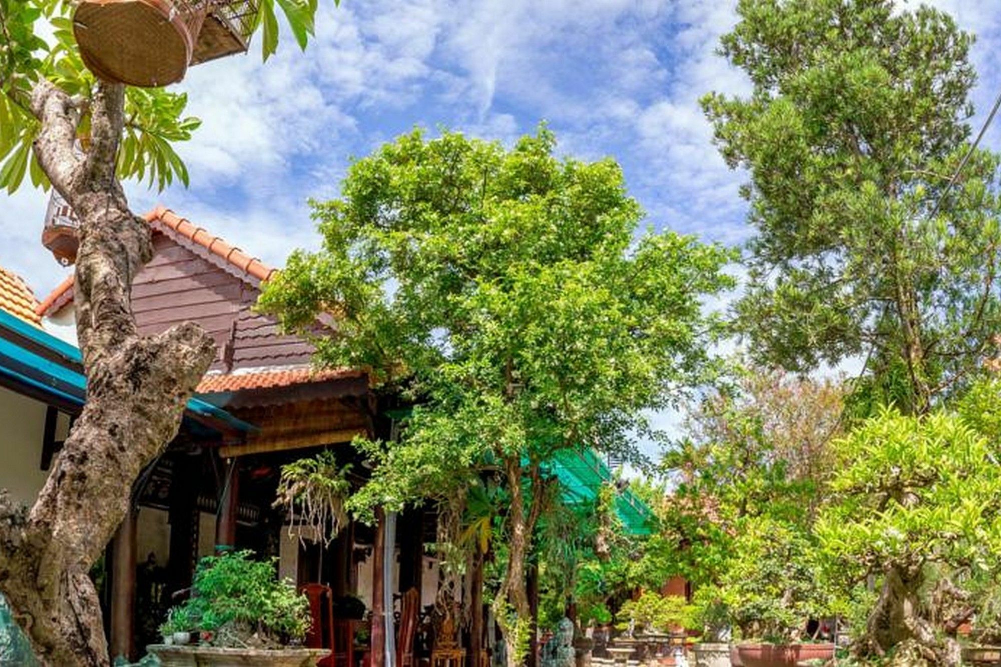 Bonsai Villa Hoi An Dış mekan fotoğraf
